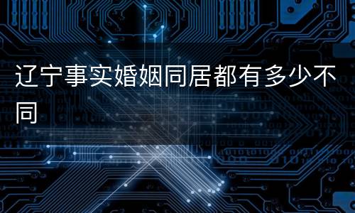 辽宁事实婚姻同居都有多少不同