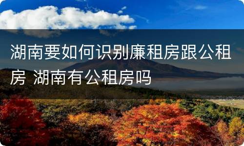 湖南要如何识别廉租房跟公租房 湖南有公租房吗