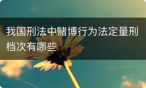 我国刑法中赌博行为法定量刑档次有哪些