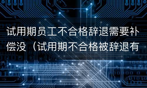 试用期员工不合格辞退需要补偿没（试用期不合格被辞退有补偿吗）