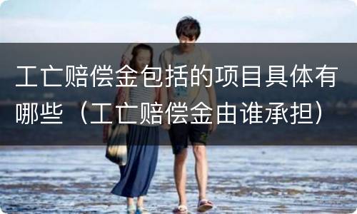 工亡赔偿金包括的项目具体有哪些（工亡赔偿金由谁承担）