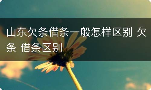 山东欠条借条一般怎样区别 欠条 借条区别