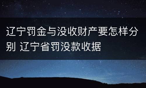 辽宁罚金与没收财产要怎样分别 辽宁省罚没款收据