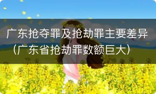 广东抢夺罪及抢劫罪主要差异（广东省抢劫罪数额巨大）