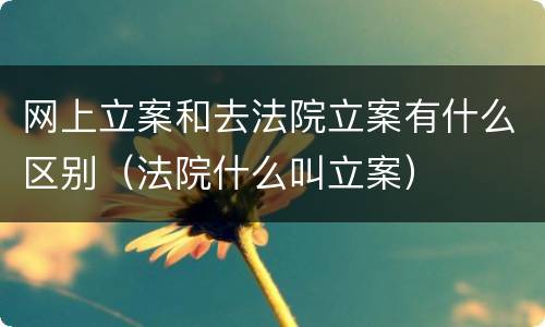 网上立案和去法院立案有什么区别（法院什么叫立案）