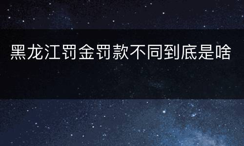 黑龙江罚金罚款不同到底是啥