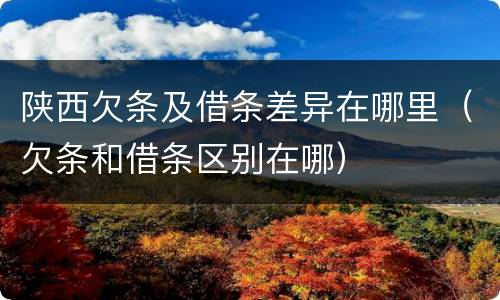 陕西欠条及借条差异在哪里（欠条和借条区别在哪）