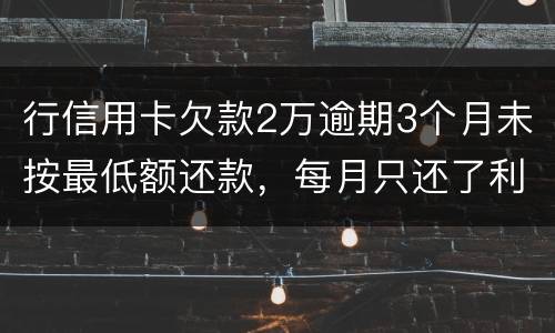 行信用卡欠款2万逾期3个月未按最低额还款，每月只还了利息，银行报案会怎样