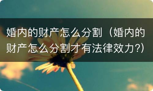 婚内的财产怎么分割（婚内的财产怎么分割才有法律效力?）