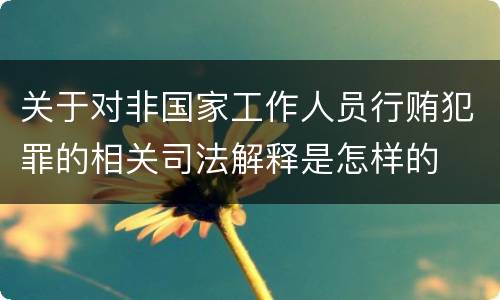 关于对非国家工作人员行贿犯罪的相关司法解释是怎样的