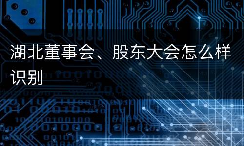 湖北董事会、股东大会怎么样识别