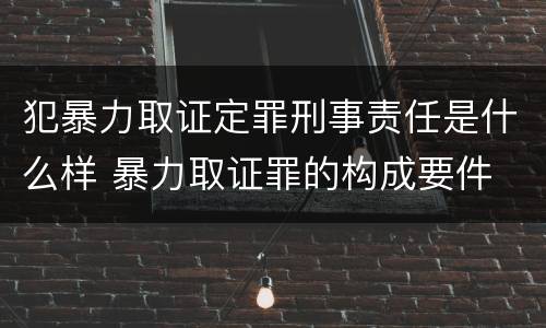 犯暴力取证定罪刑事责任是什么样 暴力取证罪的构成要件
