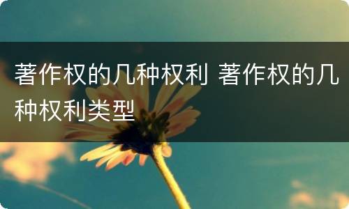 著作权的几种权利 著作权的几种权利类型