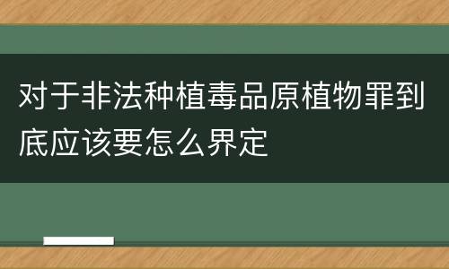 对于非法种植毒品原植物罪到底应该要怎么界定