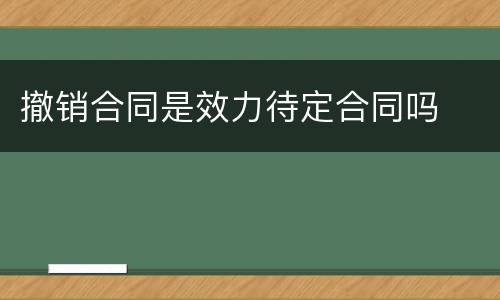 撤销合同是效力待定合同吗