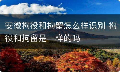 安徽拘役和拘留怎么样识别 拘役和拘留是一样的吗