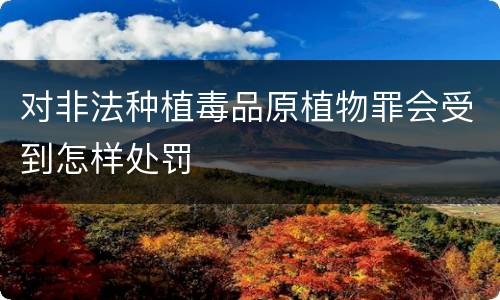 对非法种植毒品原植物罪会受到怎样处罚