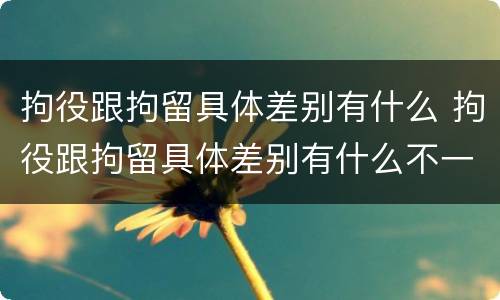 拘役跟拘留具体差别有什么 拘役跟拘留具体差别有什么不一样