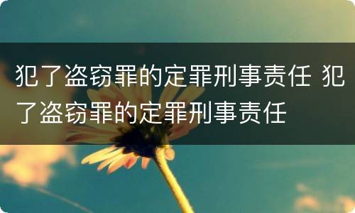 犯了盗窃罪的定罪刑事责任 犯了盗窃罪的定罪刑事责任