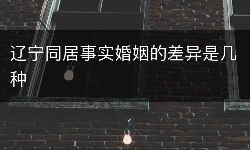 辽宁同居事实婚姻的差异是几种