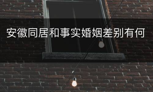 安徽同居和事实婚姻差别有何