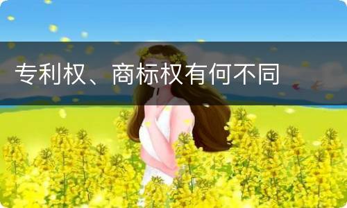 专利权、商标权有何不同