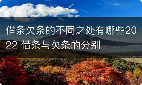 借条欠条的不同之处有哪些2022 借条与欠条的分别