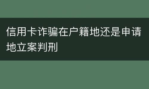 信用卡诈骗在户籍地还是申请地立案判刑