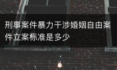 刑事案件暴力干涉婚姻自由案件立案标准是多少