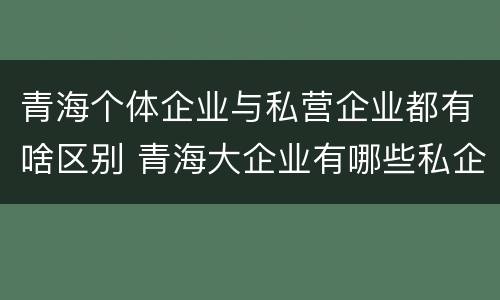 青海个体企业与私营企业都有啥区别 青海大企业有哪些私企