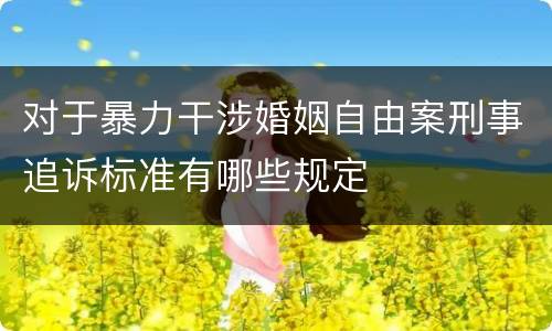 对于暴力干涉婚姻自由案刑事追诉标准有哪些规定