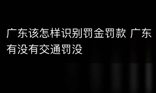 广东该怎样识别罚金罚款 广东有没有交通罚没