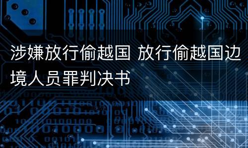 涉嫌放行偷越国 放行偷越国边境人员罪判决书