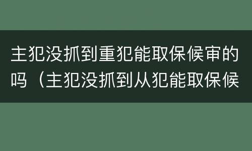 主犯没抓到重犯能取保候审的吗（主犯没抓到从犯能取保候审吗）