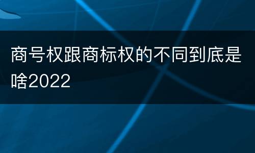 商号权跟商标权的不同到底是啥2022