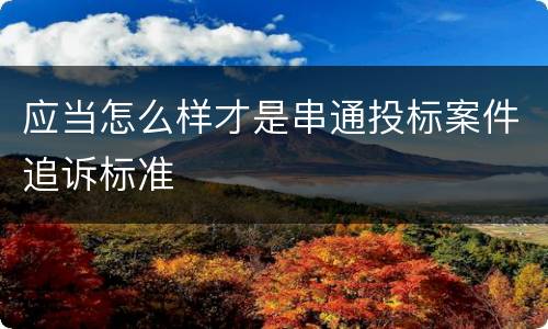 应当怎么样才是串通投标案件追诉标准