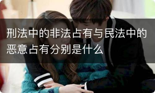 刑法中的非法占有与民法中的恶意占有分别是什么