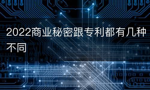 2022商业秘密跟专利都有几种不同