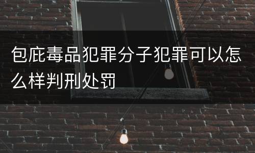包庇毒品犯罪分子犯罪可以怎么样判刑处罚
