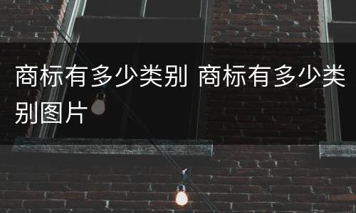 商标有多少类别 商标有多少类别图片