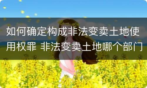 如何确定构成非法变卖土地使用权罪 非法变卖土地哪个部门管辖?