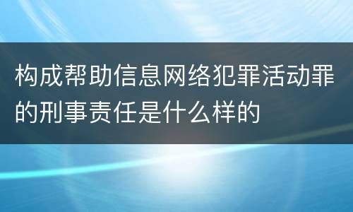 构成帮助信息网络犯罪活动罪的刑事责任是什么样的