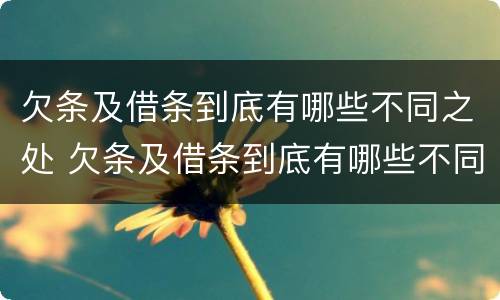 欠条及借条到底有哪些不同之处 欠条及借条到底有哪些不同之处图片