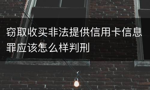窃取收买非法提供信用卡信息罪应该怎么样判刑