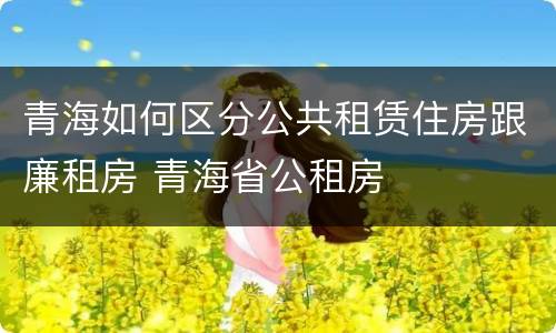 青海如何区分公共租赁住房跟廉租房 青海省公租房
