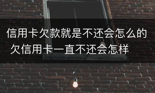 信用卡欠款就是不还会怎么的 欠信用卡一直不还会怎样