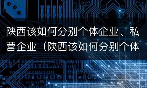 陕西该如何分别个体企业、私营企业（陕西该如何分别个体企业,私营企业呢）