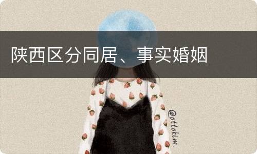 陕西区分同居、事实婚姻
