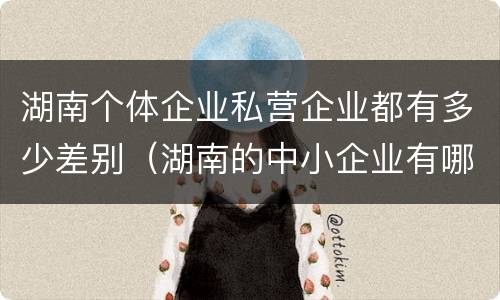 湖南个体企业私营企业都有多少差别（湖南的中小企业有哪些）