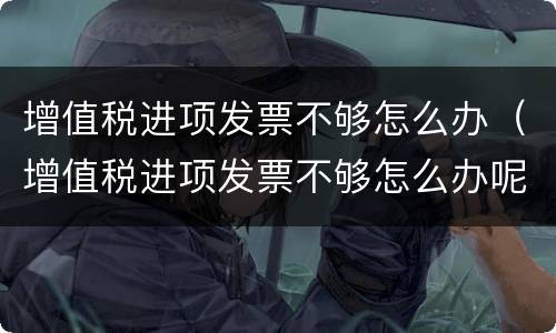 增值税进项发票不够怎么办（增值税进项发票不够怎么办呢）